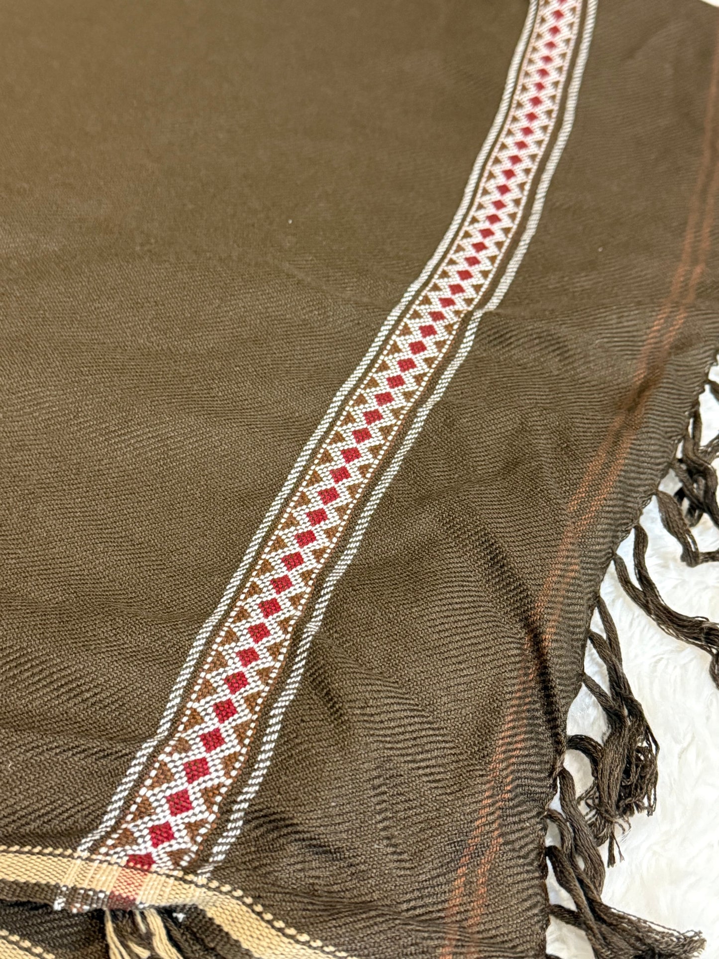 Amir Adnan Shawl