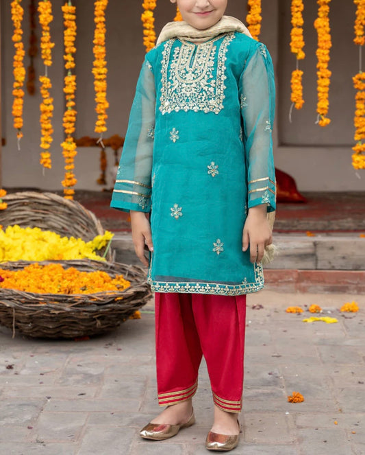 Maria B 3 Piece Organza Suit (Girls), New with Tags