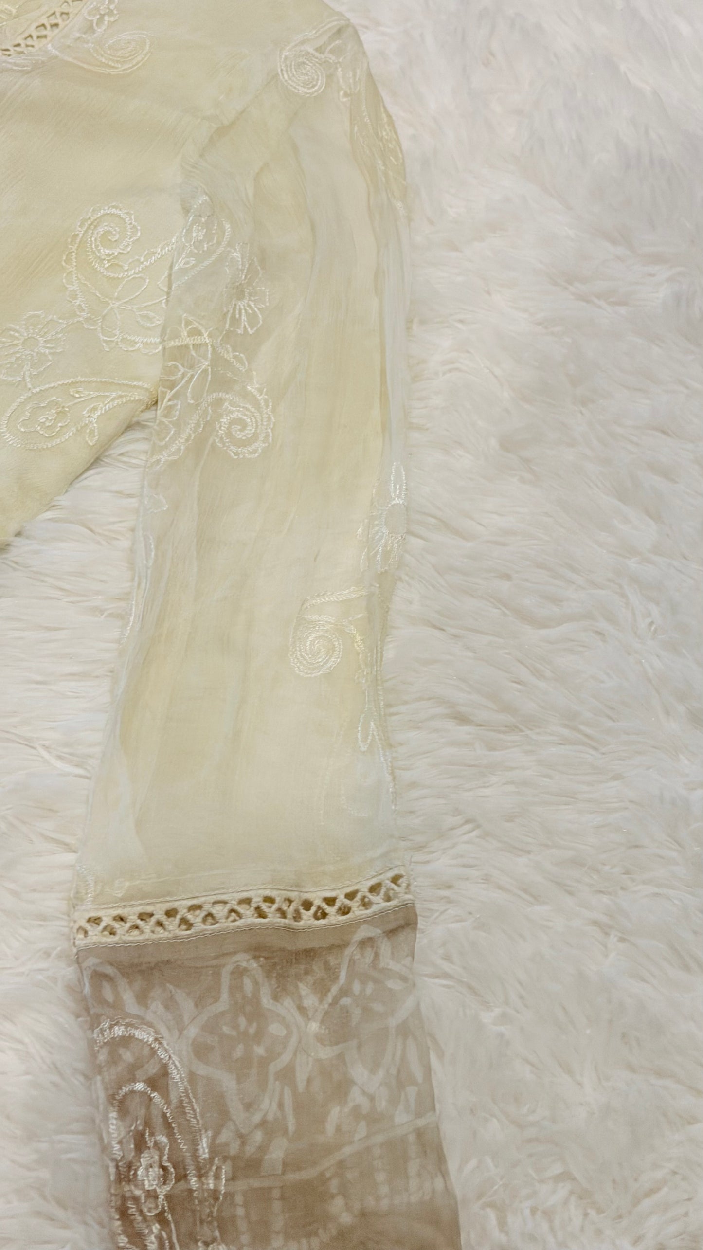 Imbias Off-White Chiffon Shirt with Embroidery and Self-Print background in light beige color