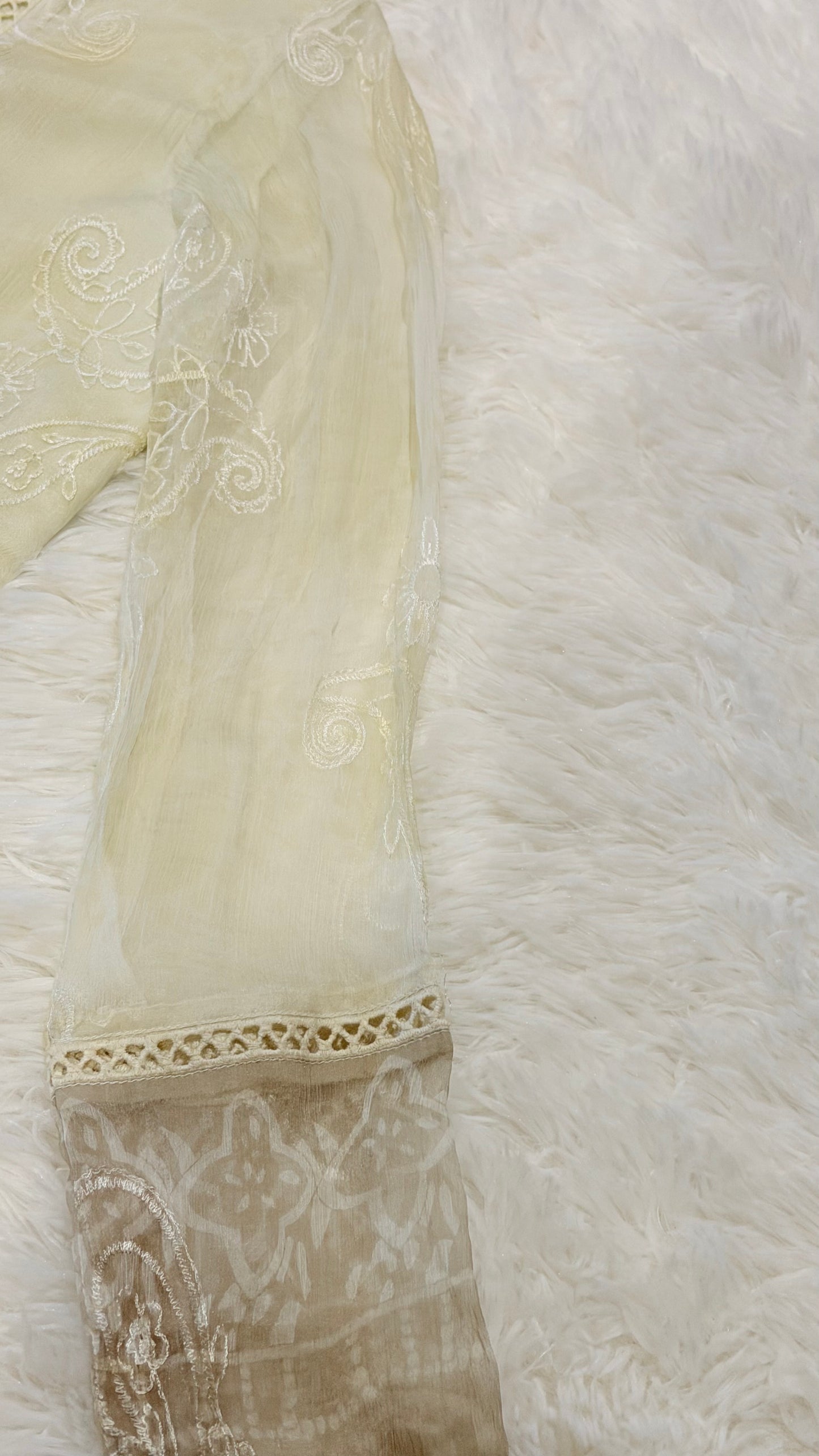 Imbias Off-White Chiffon Shirt with Embroidery and Self-Print background in light beige color