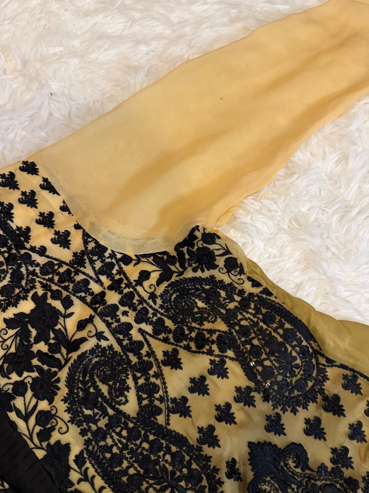 Threads & Motifs heavily embroidered Kameez with matching Chiffon Dupatta